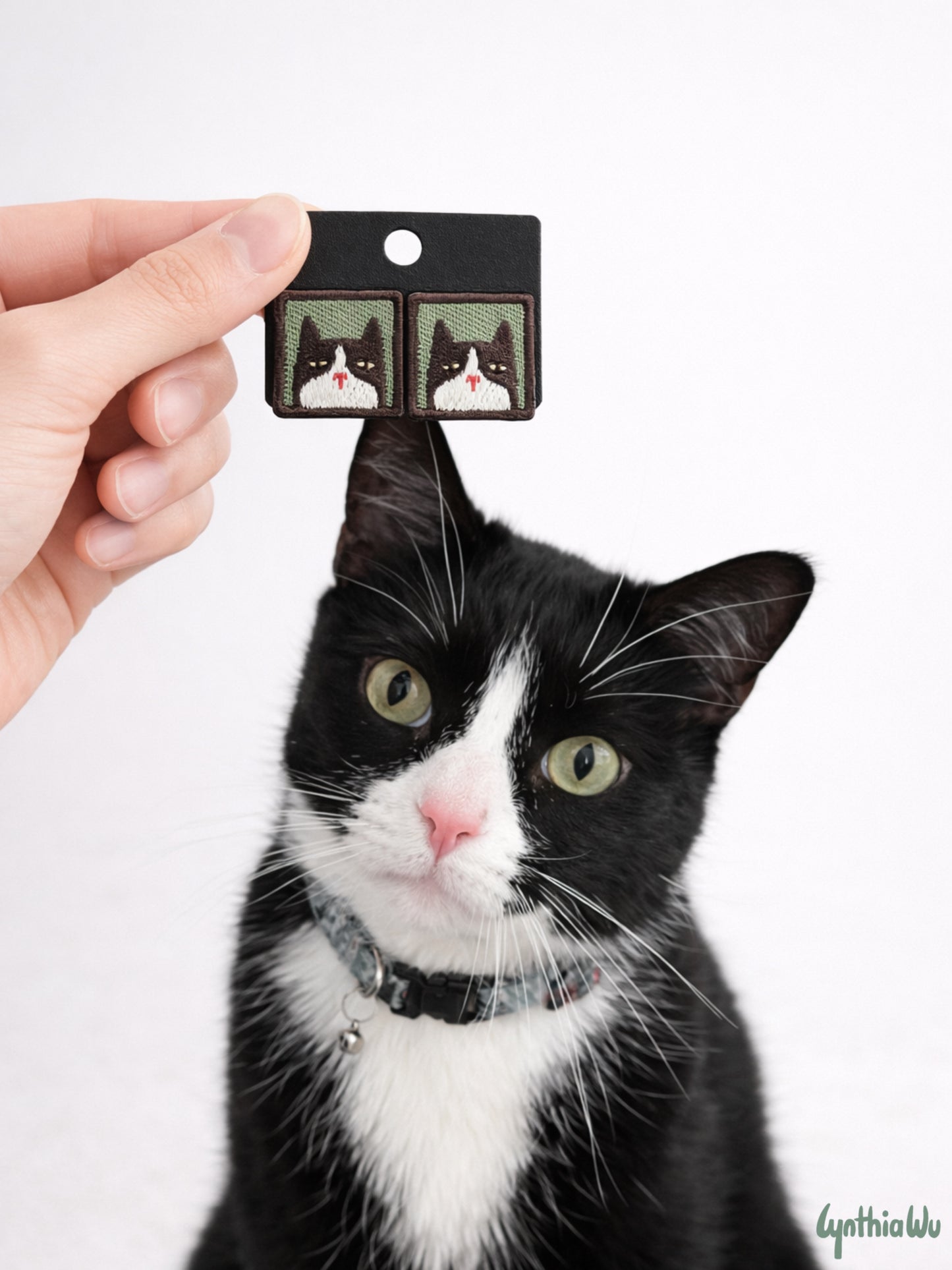 stud earrings - grumpy cat